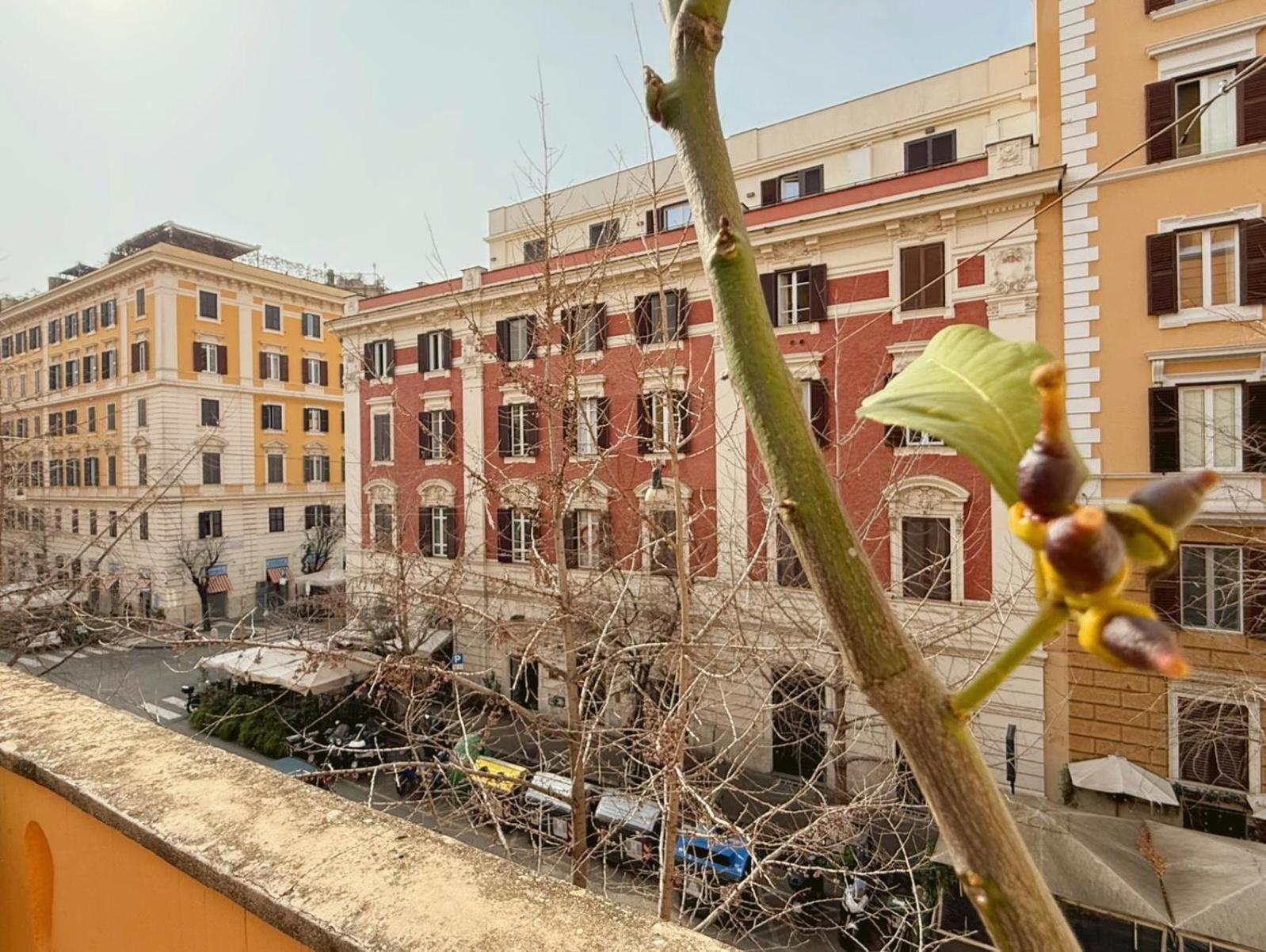 Fabio Massimo Guest House Roma Exterior foto